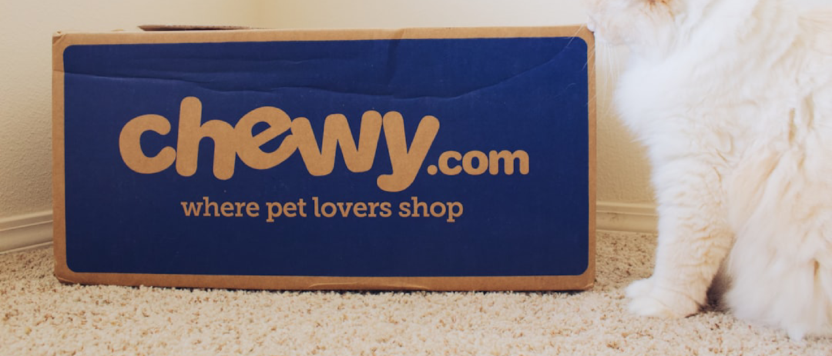 Chewy Promo Codes: $20 Off June 2026